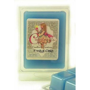 FRESH AND CLEAN Mixer Melt or Wax Tart by Courtneys Candles   